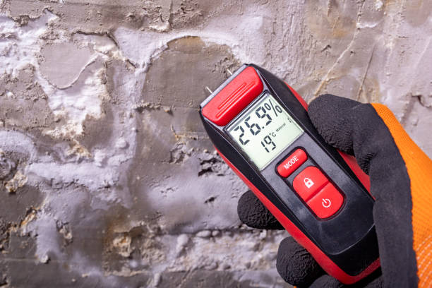 Best Mold Remediation Services  in Maywood, NJ