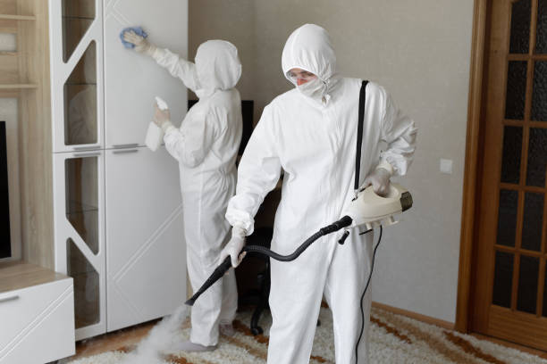 Best Attic Mold Removal  in Maywood, NJ
